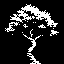 tree branches detailed outline
